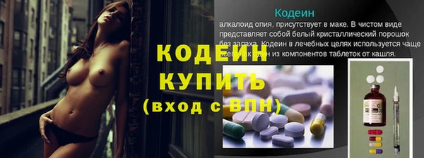 2c-b Гусев