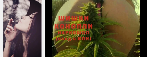 крисы Дмитровск