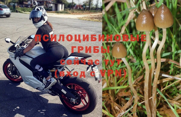 2c-b Гусев