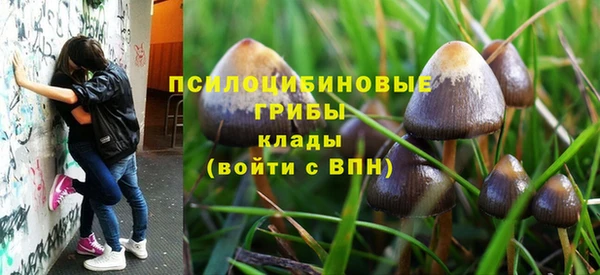 COCAINE Гусь-Хрустальный