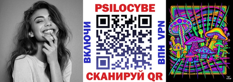 kraken как войти  Знаменск  Псилоцибиновые грибы прущие грибы 