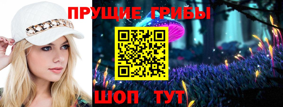 Знаменск  Псилоцибиновые грибы Psilocybine cubensis  Вход с VPN 